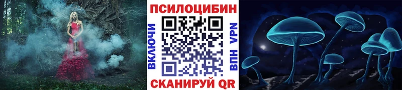 MEGA   цена   Северск  Галлюциногенные грибы Magic Shrooms 