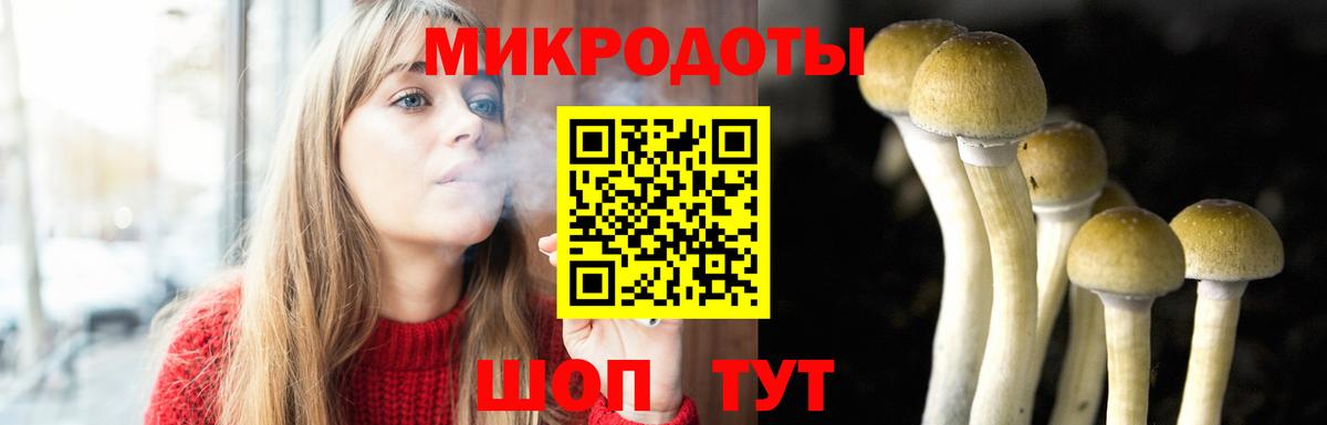 Галлюциногенные грибы Psilocybine cubensis  Вход с VPN  Северск  Галлюциногенные грибы Cubensis 